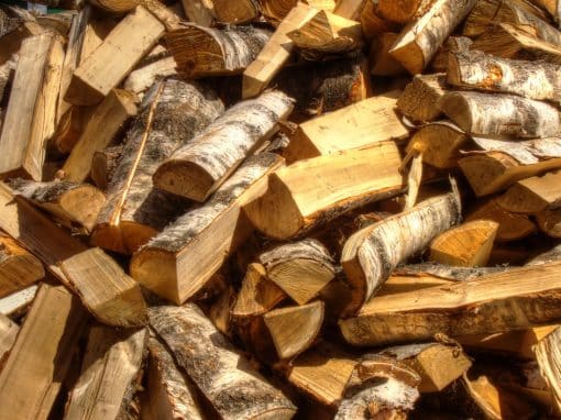 Depositphotos_30777501_XL