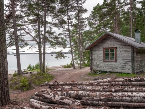 Mokkitalkkari-Mikko-Lindeberg-Etela-Paijanne-Asikkala-Hollola-Lahti-Orimattila-Karkola-Padasjoki-Heinola Jarven rannalla olevan kesamokin pihassa iso kasa kaadettuja koivun puunrunkoja.